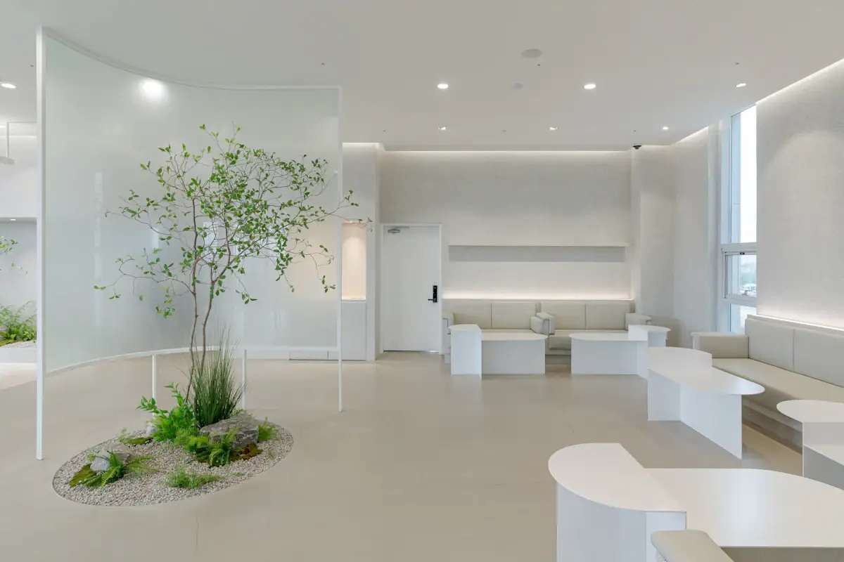 A calm, white waiting lounge with a living tree and soft curved seating